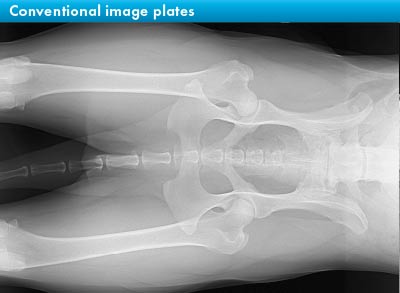 Conventional image plate for full body x-ray